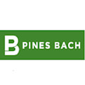 Branded image of Pines Bach, a law firm in Madison, WI
