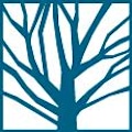Branded image of Cap City Law PS, a law firm in Olympia, WA